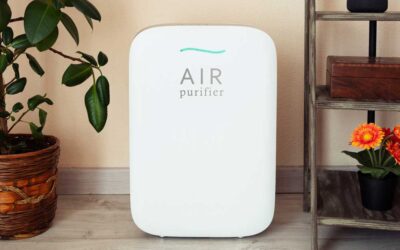 5 Powerful Reasons to Install an Air Purifier to Eliminate Dust and Allergies in Bolton, CT